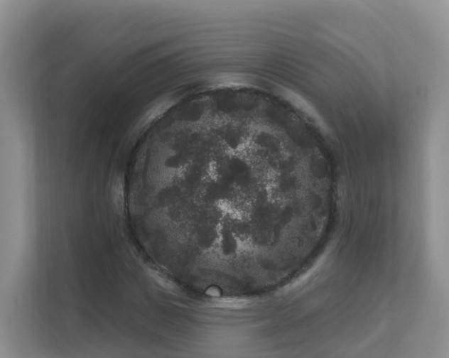 X0000111640825200907241109