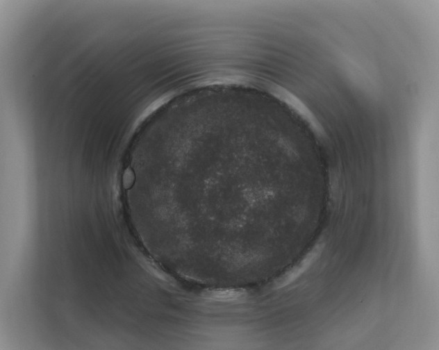 X0000111640826200907241109