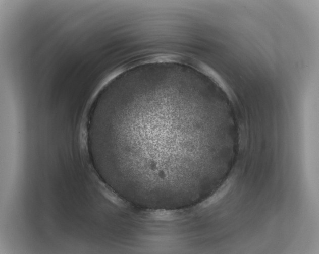 X0000111640827200907241109