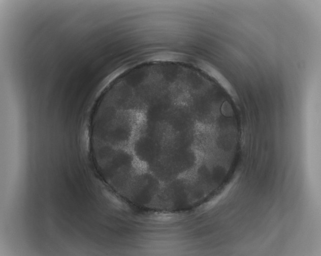 X0000111640829200907241109