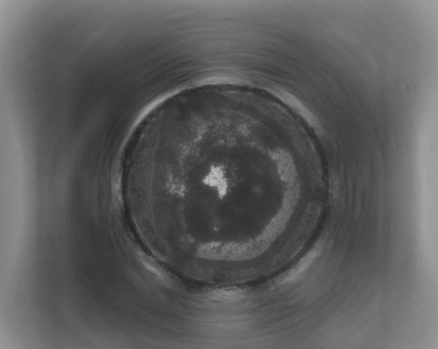 X0000111640830200907241109