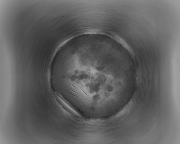 X0000111640831200907241109