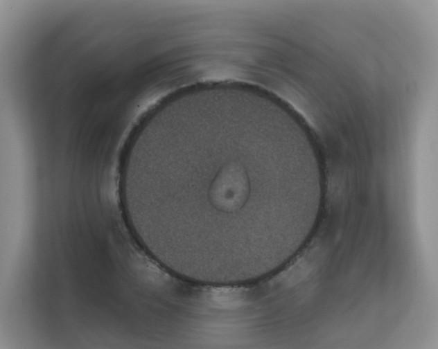 X0000111640832200907241109