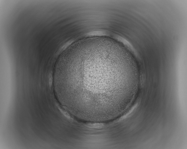 X0000111640833200907241109