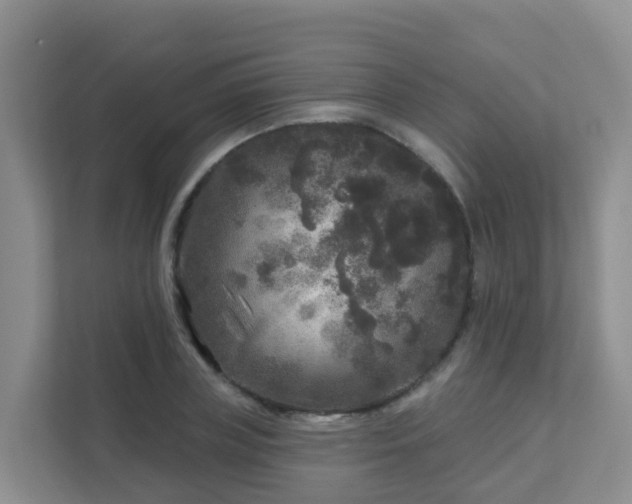 X0000111640835200907241109