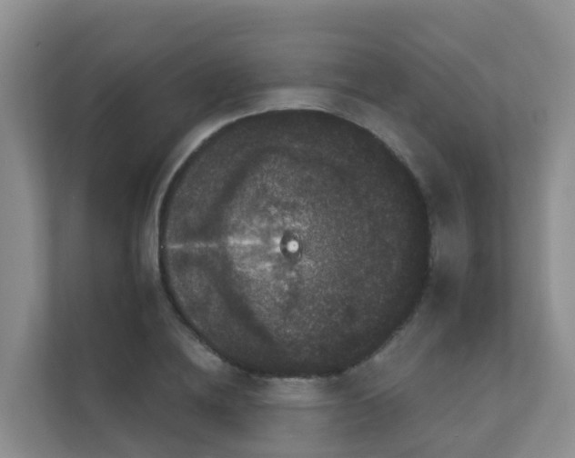 X0000111640836200907241109