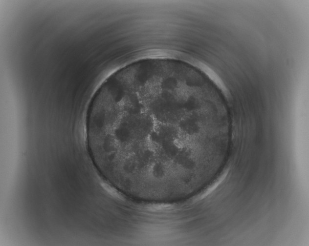 X0000111640837200907241109