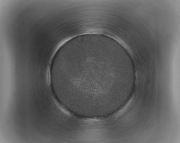 X0000111640838200907241109