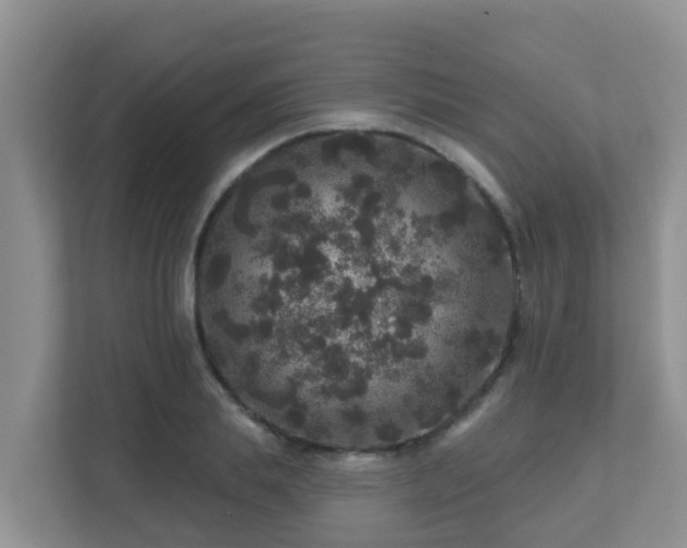 X0000111640839200907241109