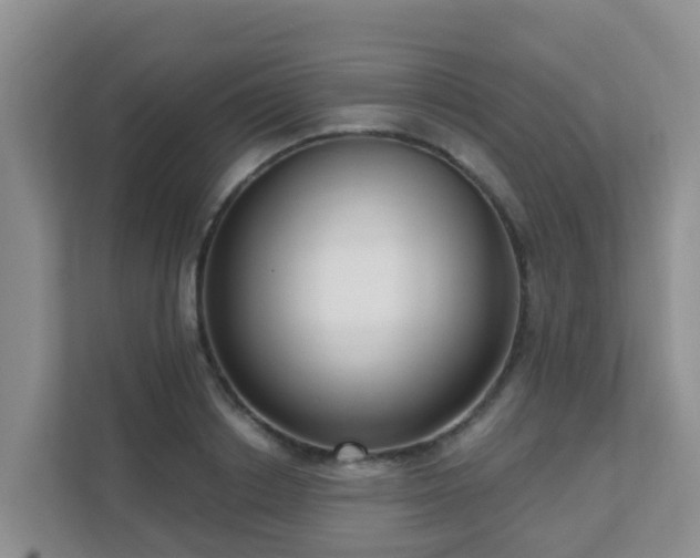 X0000111640842200907241109