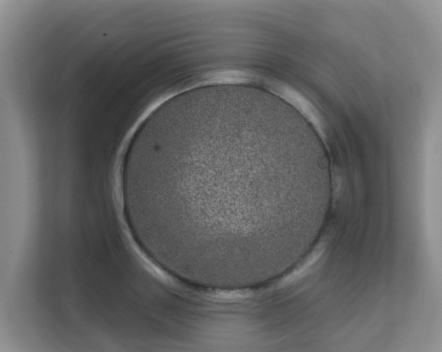 X0000111640843200907241109