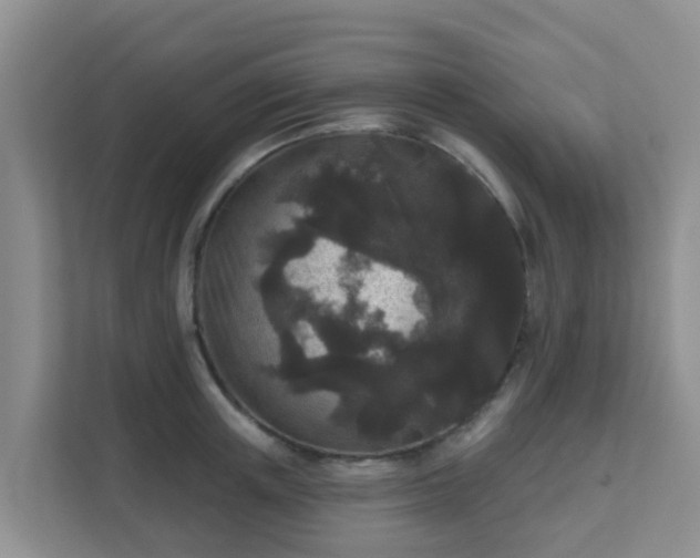 X0000111640851200907241109