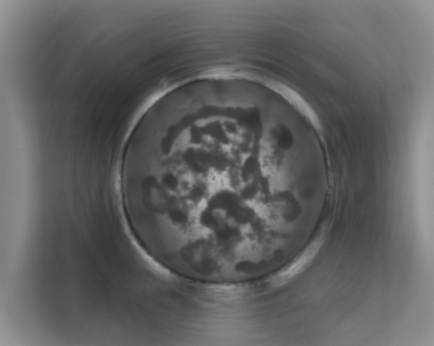 X0000111640855200907241109