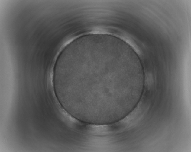 X0000111640856200907241109