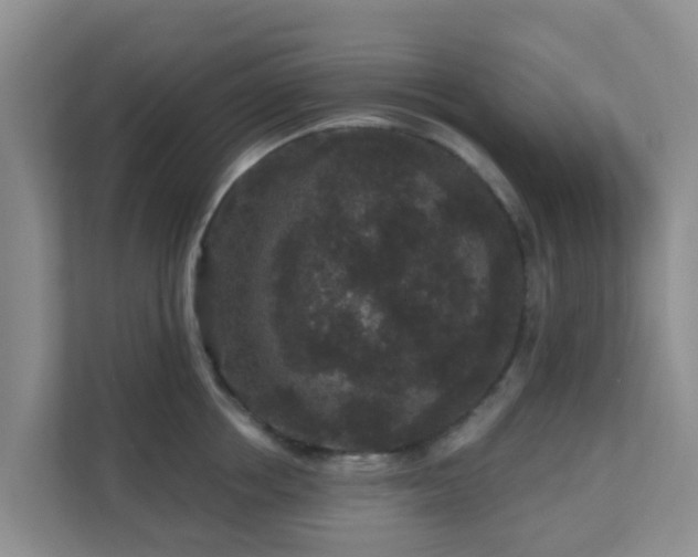 X0000111640858200907241109