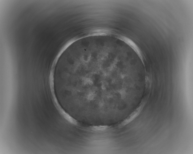 X0000111640859200907241109