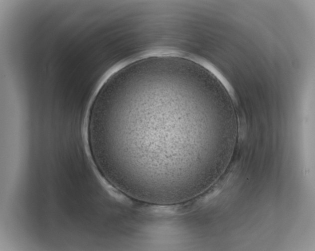 X0000111640861200907241109