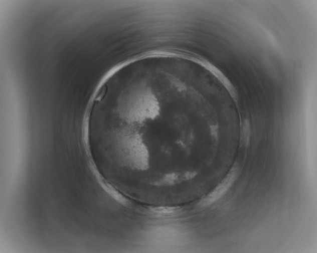 X0000111640862200907241109