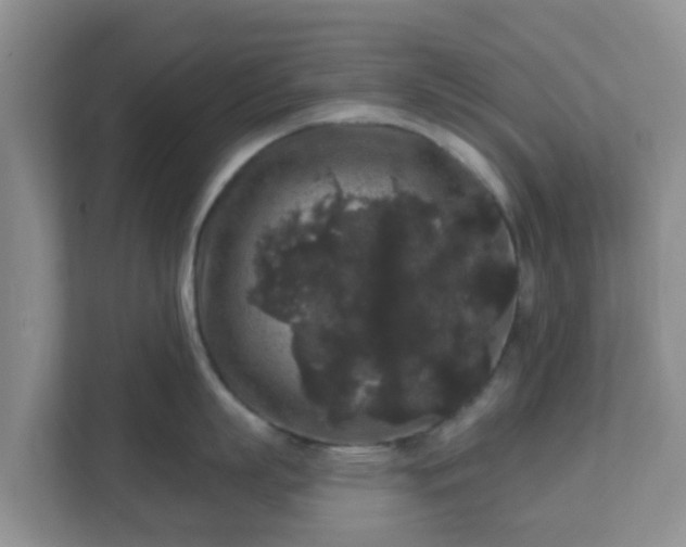 X0000111640863200907241109