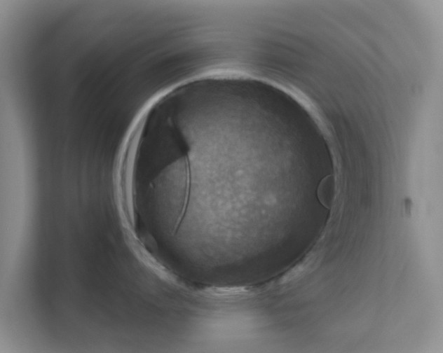 X0000111640864200907241109