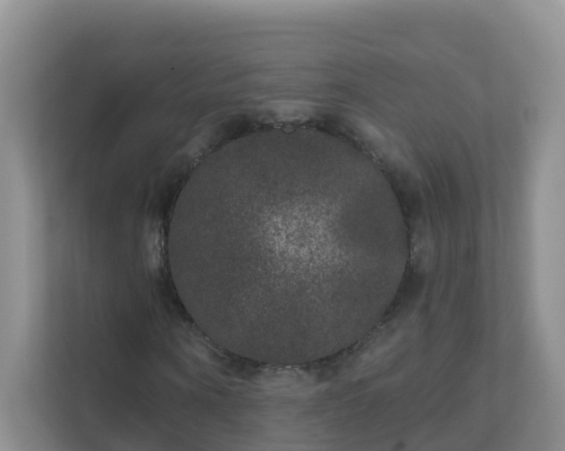 X0000111640866200907241109