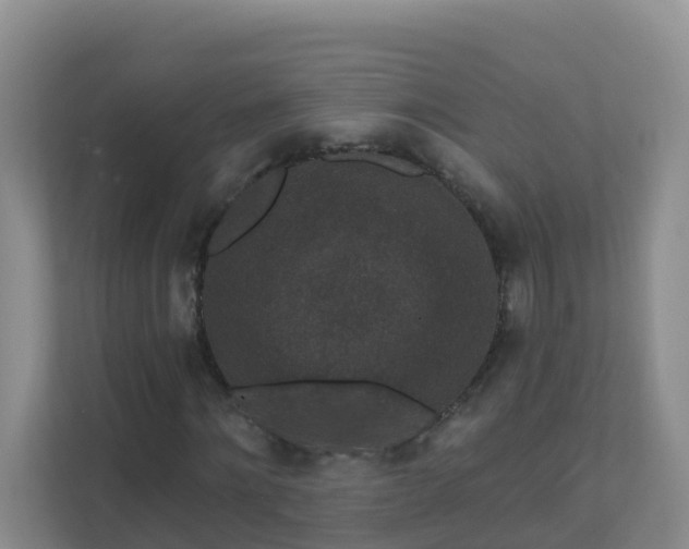 X0000111640868200907241109