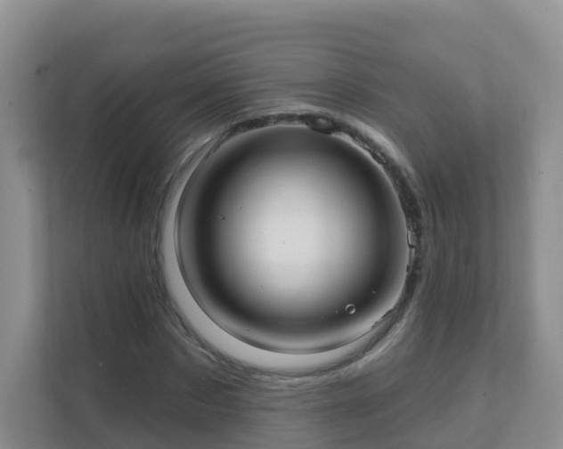 X0000111640873200907241109