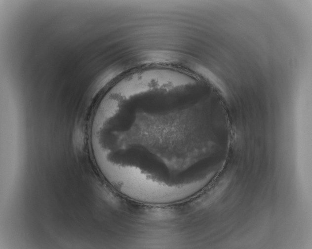 X0000111640874200907241109