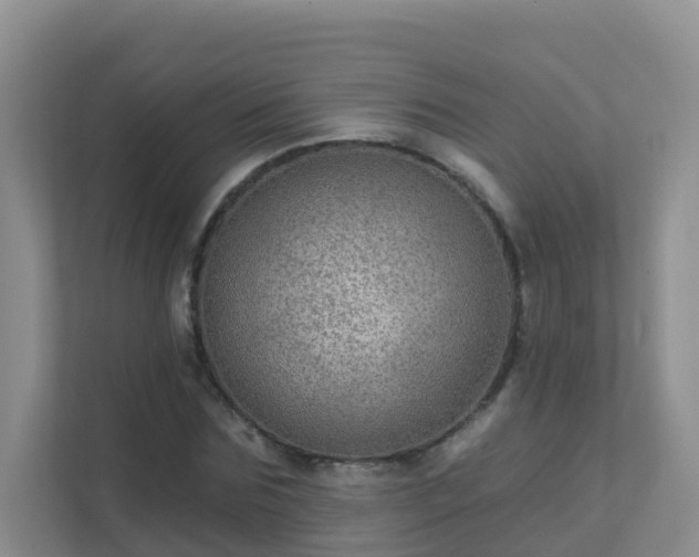 X0000111640875200907241109