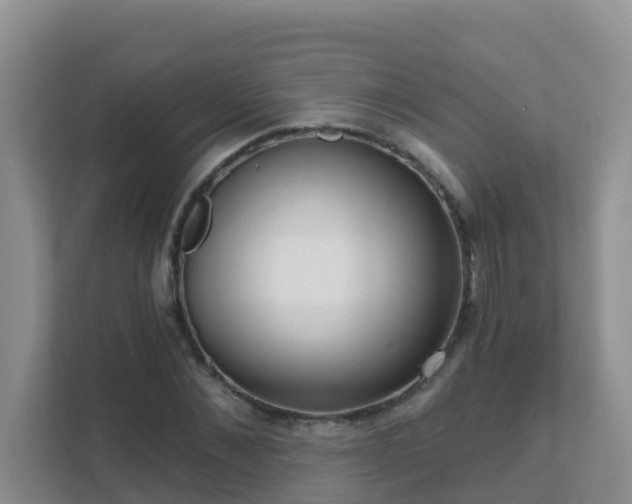 X0000111640876200907241109