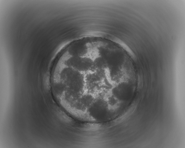 X0000111640878200907241109