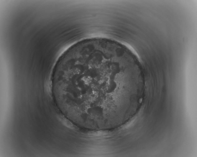 X0000111640879200907241109