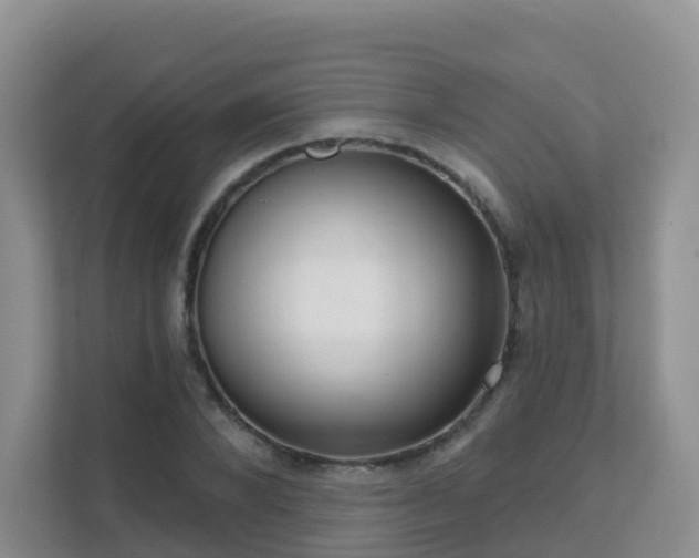 X0000111640880200907241109