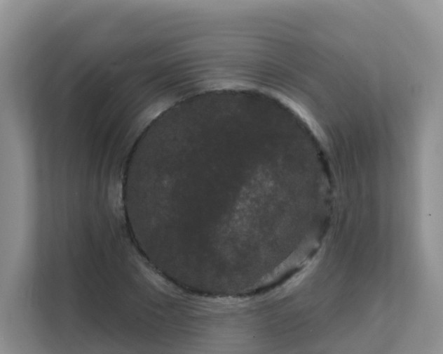 X0000111640881200907241109