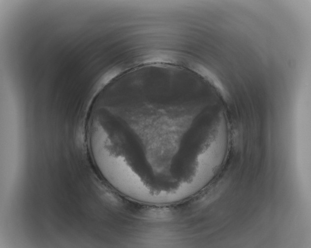 X0000111640882200907241109