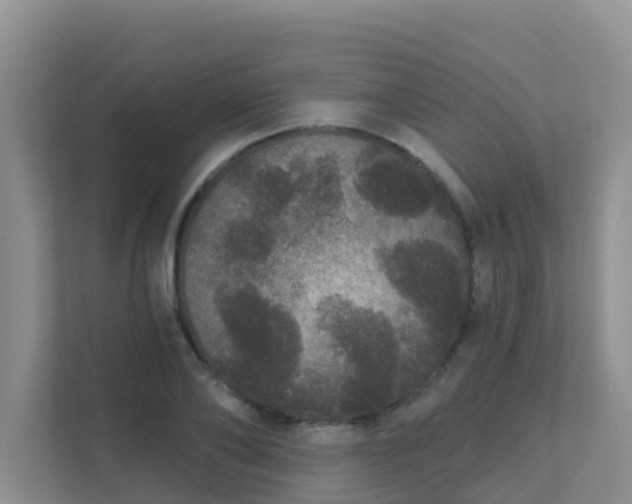 X0000111640886200907241109