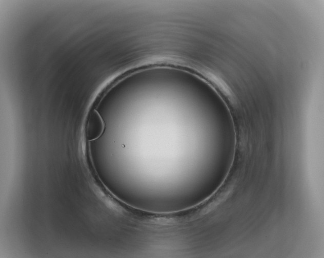 X0000111640888200907241108