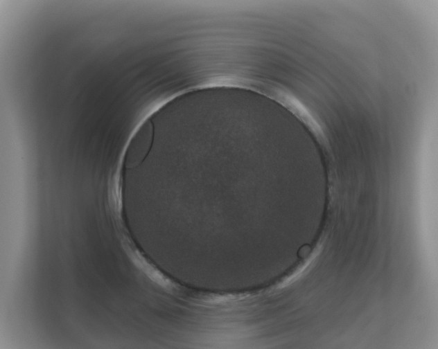 X0000111640892200907241108