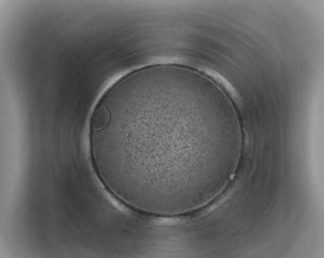 X0000111640894200907241108