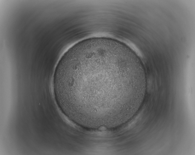 X0000111640895200907241108