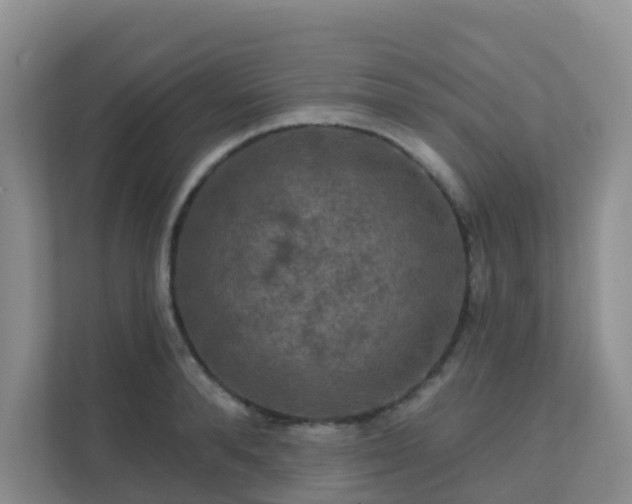 X0000111640896200907241108