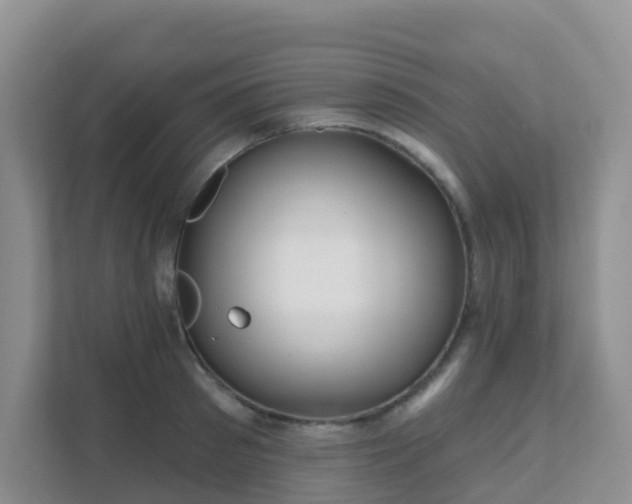 X0000111640897200907241108