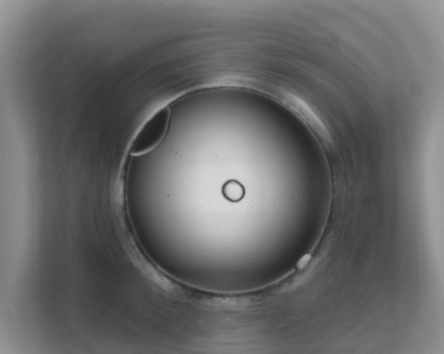 X0000111640900200907241108