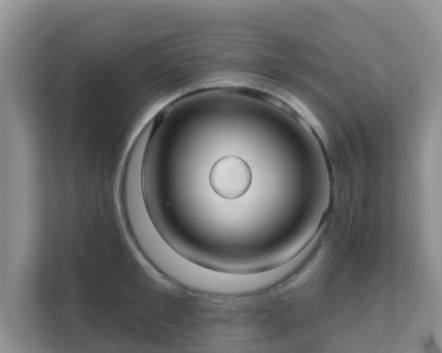 X0000111640901200907241108