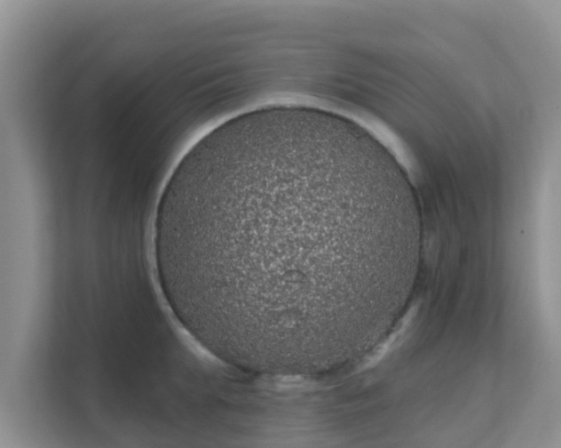 X0000111640903200907241108