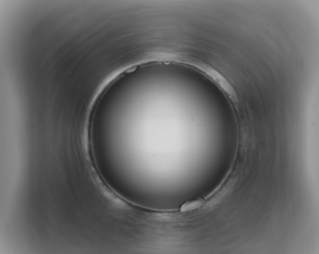 X0000111640904200907241108