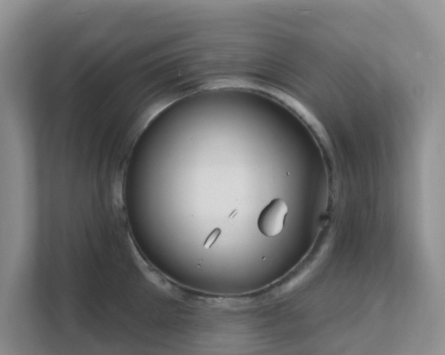 X0000111640905200907241108