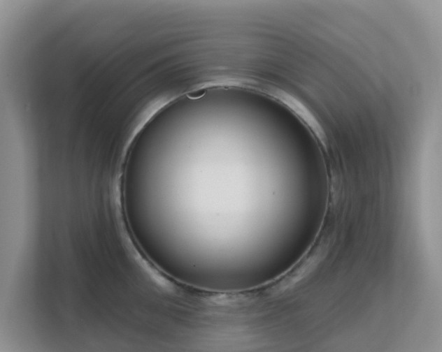 X0000111640906200907241108