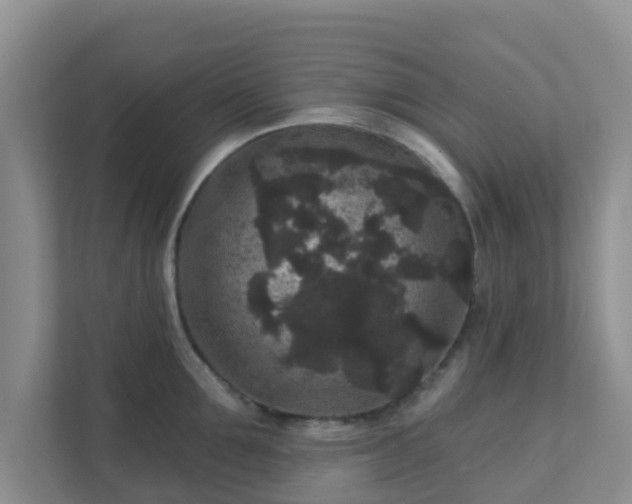 X0000111640907200907241108