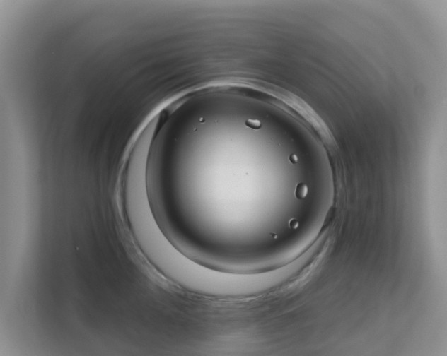 X0000111640908200907241108